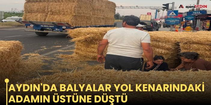 Aydın'da balyalar yol kenarındaki adamın üstüne düştü