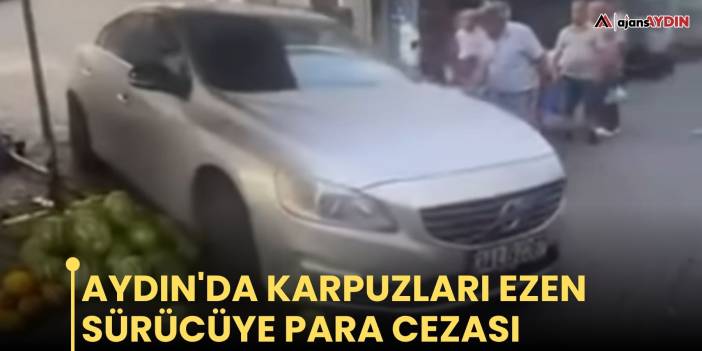 Aydın'da karpuzları ezen sürücüye para cezası