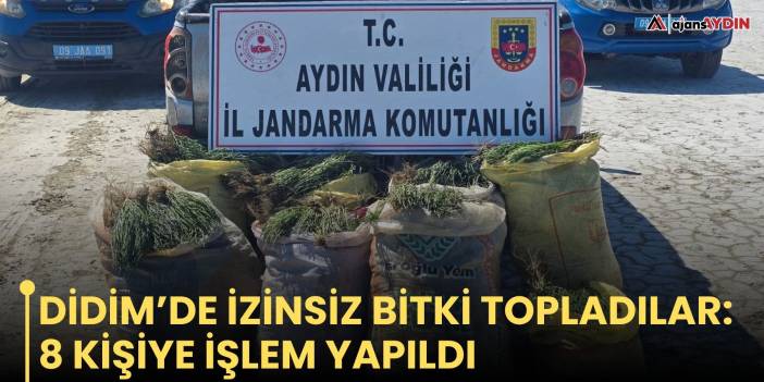 Didim’de izinsiz bitki topladılar: 8 kişiye işlem yapıldı