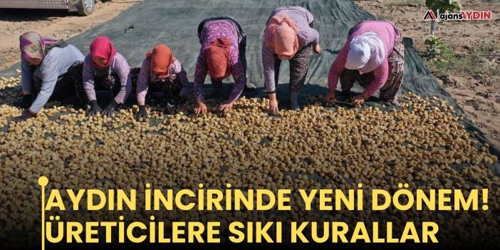 Aydın incirinde yeni dönem! Üreticilere sıkı kurallar