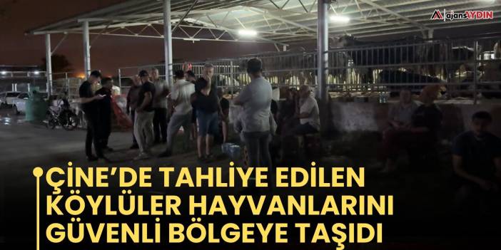 Çine’de tahliye edilen köylüler hayvanlarını güvenli bölgeye taşıdı