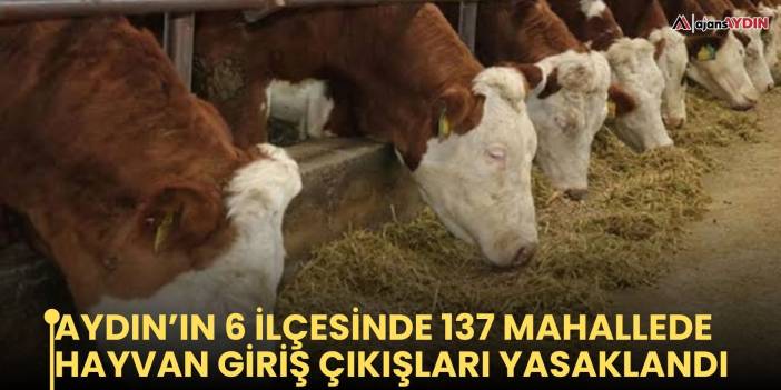 AYDIN’IN 6 İLÇESİNDE 137 MAHALLEDE HAYVAN GİRİŞ ÇIKIŞLARI YASAKLANDI