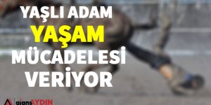 Yaşlı adam yaşam mücadelesi veriyor