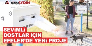 sevimli dostlar için yeni proje
