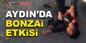 Aydın'da bonzai etkisi