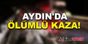 Aydın'da feci kaza 1 ölü 1 yaralı