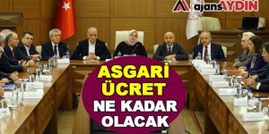 Asgari Ücret Ne Kadar Olacak