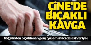 Çine'de bıçaklı kavga