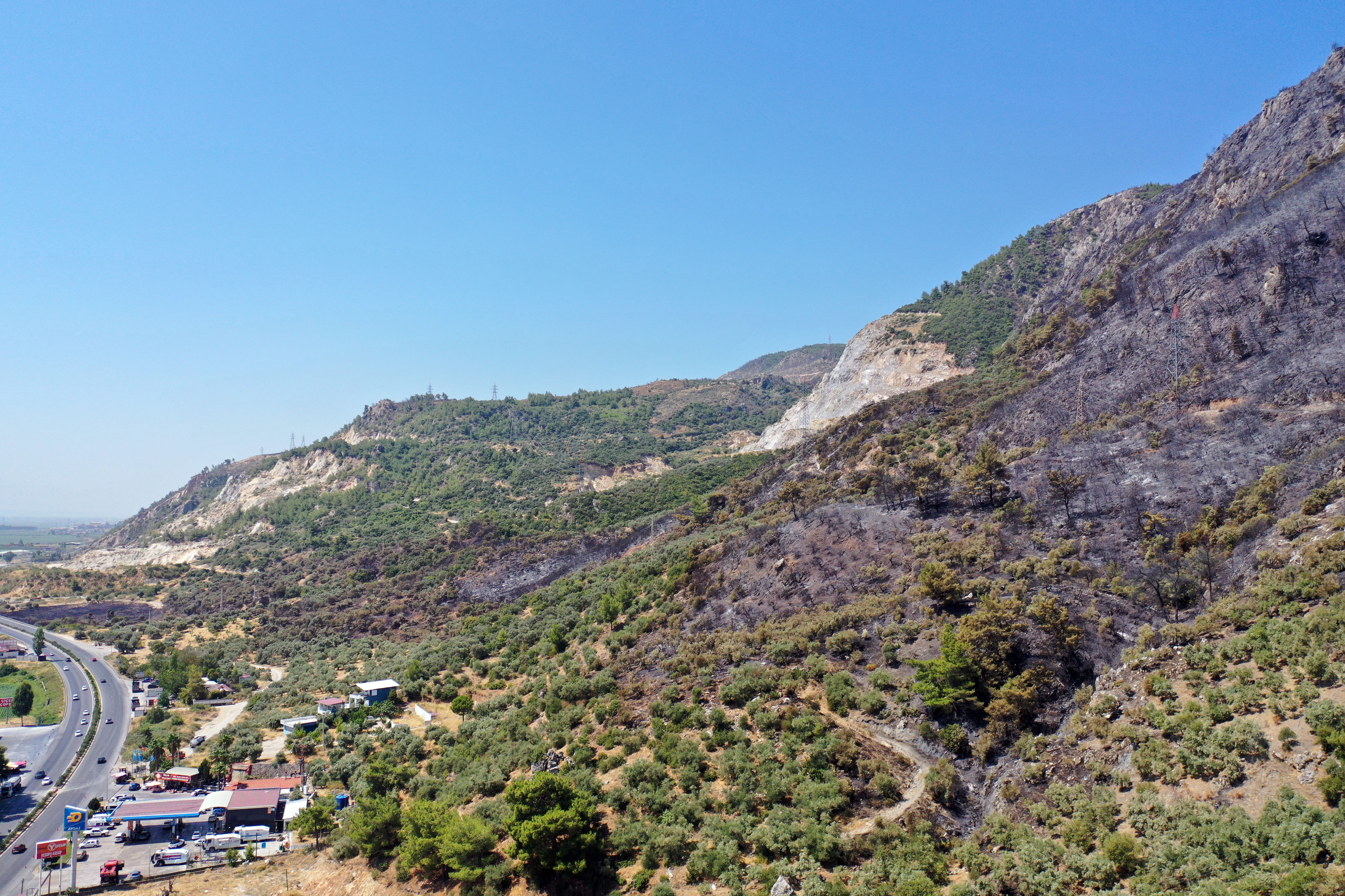aa-20240808-35350727-35350719-aydinda-zeytinlik-ve-ormanlik-alan-yanginda-zarar-gordu.jpg