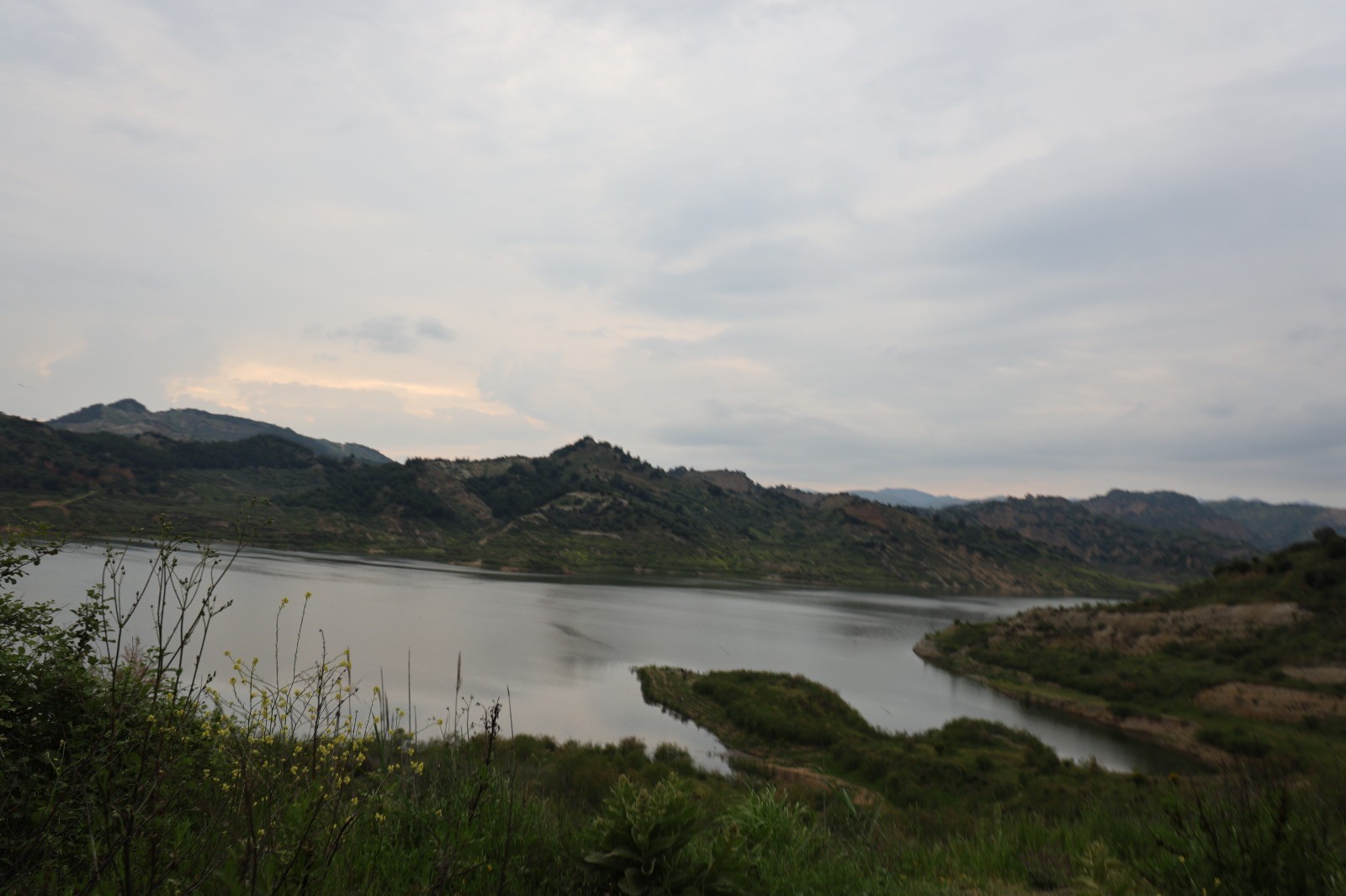 aw443257-02.jpg