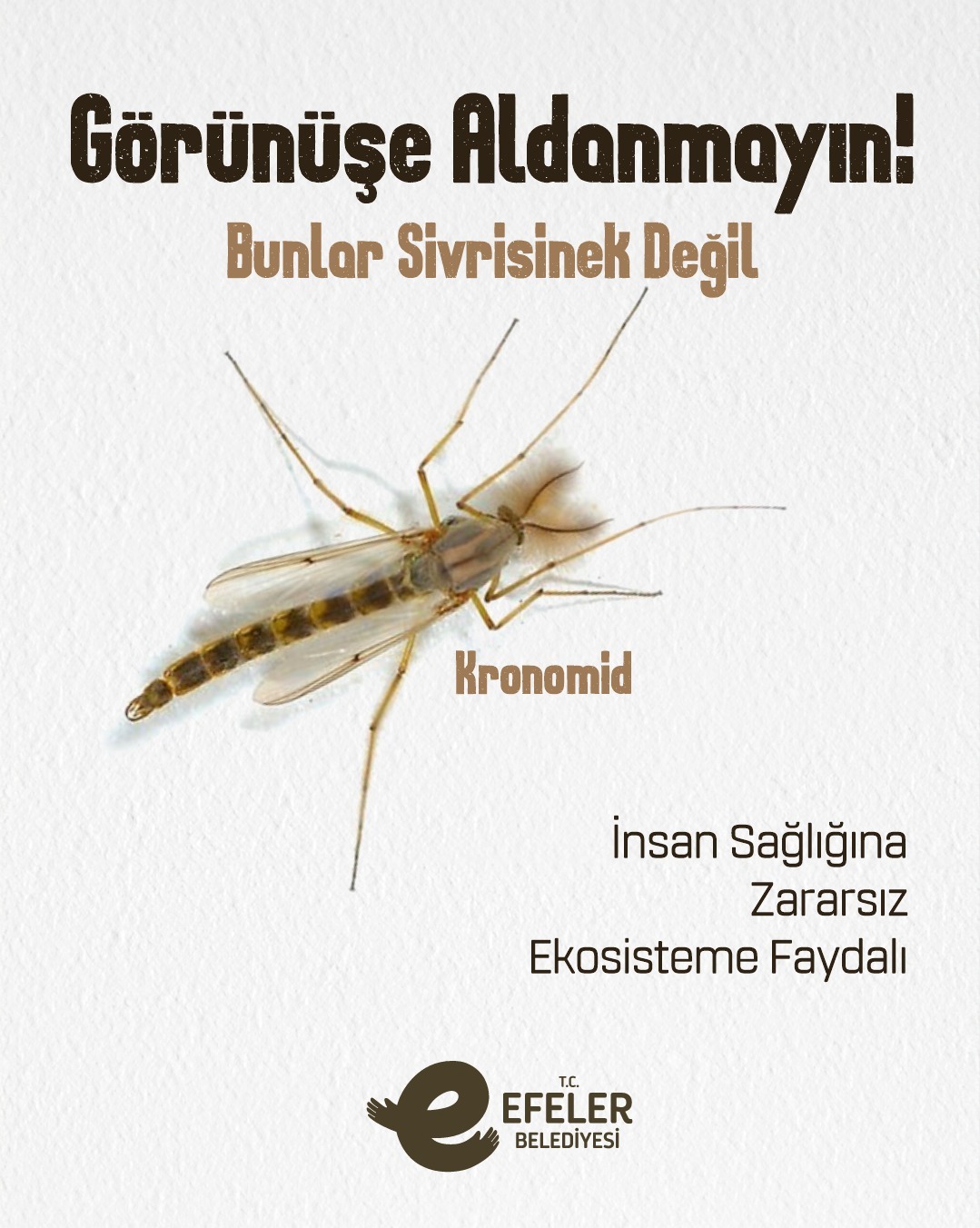 whatsapp-gorsel-2025-05-08-saat-14-25-29-26992400.jpg