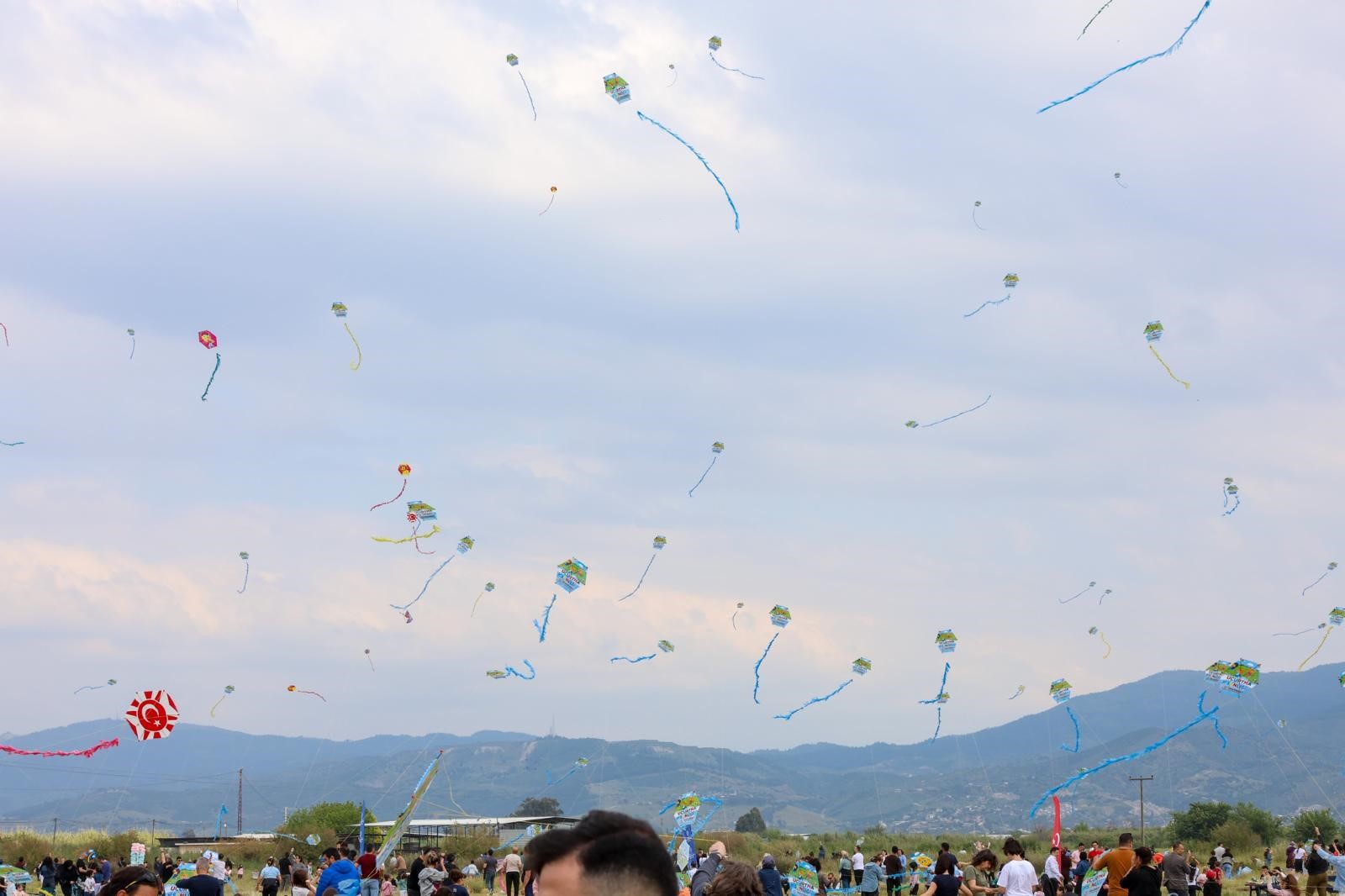 aw696191-06.jpg