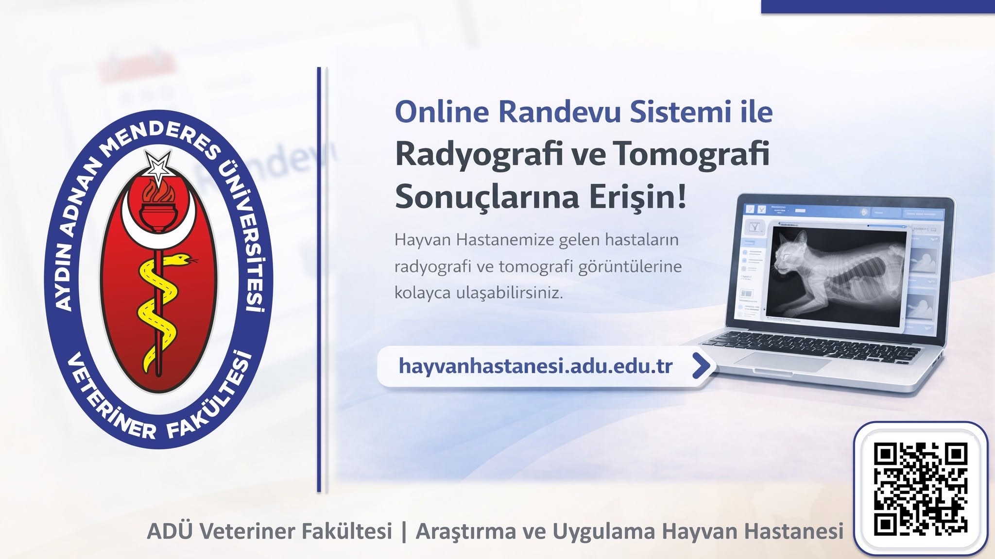 aw742979-04-1.jpg